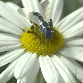 Топ-10 лучших серий из сериала «Черное зеркало» фото