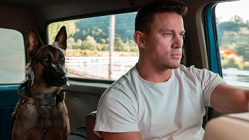 Лучшие комедии последних лет фото 73 Лучшие комедии последних лет фото