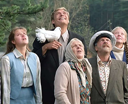 🕊️ Где снят фильм «Любовь и голуби» фото