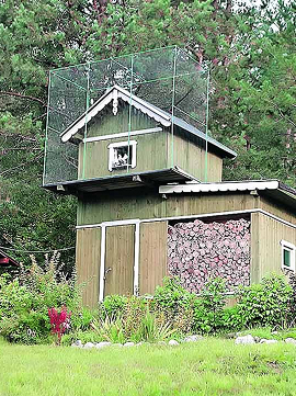🕊️ Где снят фильм «Любовь и голуби» фото 5 🕊️ Где снят фильм «Любовь и голуби» фото