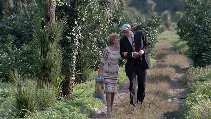 🕊️ Где снят фильм «Любовь и голуби» фото 18 🕊️ Где снят фильм «Любовь и голуби» фото