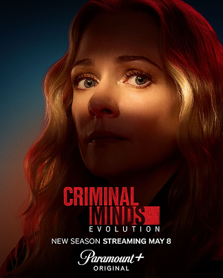 Топ зарубежных сериалов про полицию фото