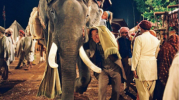 Много драк, юмора и никакого насилия: семейные фильмы с Джеки Чаном фото